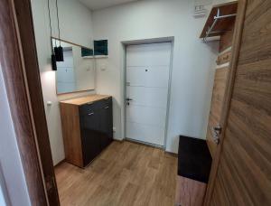 卡缅涅茨-波多利斯基Apartment Two-room "Family Estate"的小房间设有衣柜和门