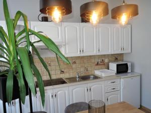 斯维诺乌伊希切Studios, Swinoujscie的厨房配有白色橱柜、水槽和植物