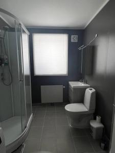 贝勒沃格Storgata 5的一间带卫生间和淋浴的浴室