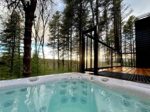 Les ÉboulementsCharlevoix expérience thermale en pleine nature - Suites Nature Charlevoix - Suite #1的享有森林景致的热水浴池