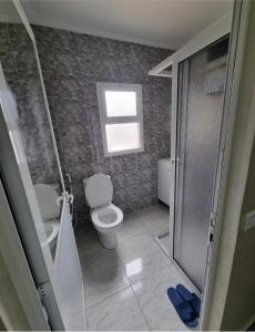 弗尼迪克Comforts apartments 1的一间带卫生间和窗户的小浴室