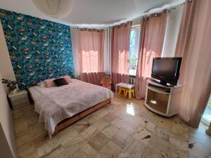 普沃茨克Vistula City的一间卧室配有一张床和一台平面电视