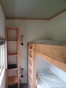 WehlNatuurchalet de Das的一间卧室设有两张双层床和梯子