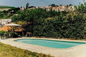 科维良Casa das Essências, Quinta de Santo António的一个大树前的游泳池