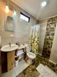 蒙泰韦尔德哥斯达黎加Freddy`s Place B&B的一间带水槽、卫生间和淋浴的浴室