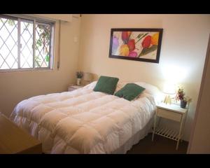 蒙得维的亚Apartamento independiente en alquiler En casa de familia的卧室配有一张带两个绿色枕头的大型白色床