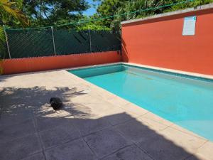 IztapaCasa en condominio monterrico的一只猫坐在游泳池旁边