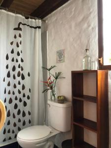 阿亚姆佩Hostal Los Orishas的一间带卫生间和淋浴帘的浴室