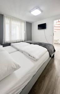 卡尔斯鲁厄Schickes Apartment in City Lage B7的一间卧室配有两张白色的床和电视