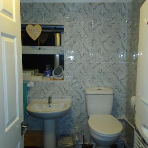 卡纳芬Kims Retreat的一间带卫生间和水槽的浴室