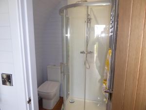 切斯特Honeypot Hideaways Luxury Glamping - Exclusively for Adults的一间带卫生间和玻璃淋浴间的浴室
