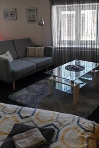 PodivínPenzion Miromar的带沙发和咖啡桌的客厅
