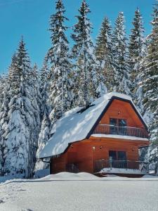 亚霍里纳Planinska kuća Dunja的小木屋,设有雪盖屋顶