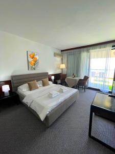 乌尔齐尼CORPUS A - Hotel Albatros的一间酒店客房,设有一张大床和一个大窗户
