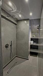易莫洛林安索纳斯公寓酒店的带淋浴的浴室和玻璃门