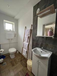 斯雷姆斯基卡尔洛夫奇Dvorska oaza的一间带水槽、卫生间和镜子的浴室