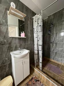 斯雷姆斯基卡尔洛夫奇Dvorska oaza的一间带水槽和淋浴的浴室