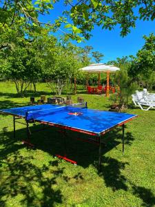 KumistaviCottage Villa Ioseliani的草上带伞的蓝色乒乓球桌