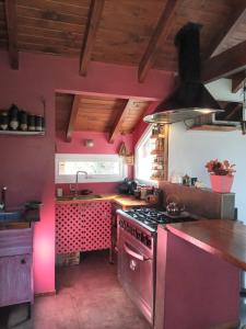 圣卡洛斯-德巴里洛切Cabaña Los Ulmos Bariloche的厨房设有粉红色的墙壁和炉灶烤箱