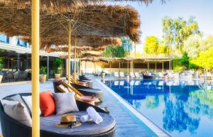埃拉特Brown Red Sea - Central Park的度假村的游泳池,配有椅子和遮阳伞