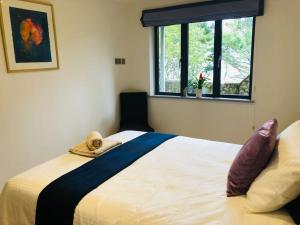 莱姆里吉斯Sea Cliff View Designer Home的卧室配有一张大白色床和窗户