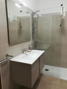 维罗纳阿迪杰河酒店的一间带水槽、淋浴和镜子的浴室