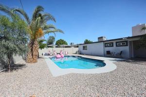 凤凰城Relaxing Oasis: Spacious 4BR House w/ Private Pool的院子里的游泳池,有粉红色的火烈鸟