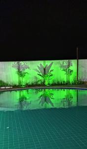 皮拉尼亚斯PIRANHAS HOTEL的一座游泳池,在建筑物的一侧画着绿色的画作