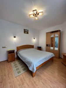 亚列姆切Oskolok Dovbusha Mini-Hotel的一间卧室配有一张床和吊扇