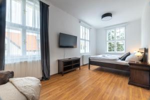 捷克克鲁姆洛夫Villa Wurmfeld的一间卧室设有一张床、一台电视和窗户。