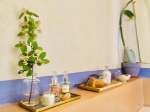 圣安杰洛城Effimera - Relaxing Retreat的架子上装有肥皂瓶和植物