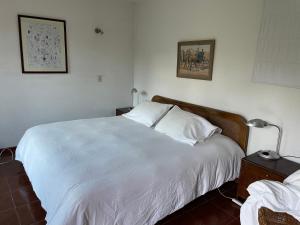 皮尔克Casa Los Ciervos的卧室配有白色的床和灯