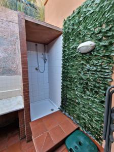 蒙德罗Mondello Sunrise的一间带淋浴的浴室和绿色的墙壁