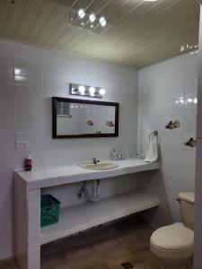 波托韦洛ScubaPortobelo的一间带水槽和卫生间的浴室
