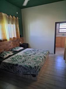 图利亚拉le tamarin的一间卧室设有两张床和窗户。