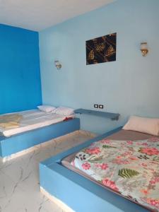 Nuweiba‘ el MuzeinahPalm Valley camp的一间设有两张床和蓝色墙壁的客房