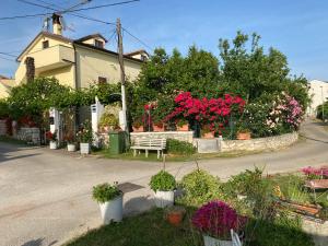 布罗托尼贾Apartment Violetta的一条种有盆栽植物、长凳和鲜花的街道