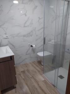 波多诺伏Apartamento en casa Portonovo vacaciones的一间带卫生间和玻璃淋浴间的浴室