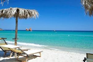 巴里萨尔多La Stella Marina的海滩上设有两把椅子和一把遮阳伞,大海上设有