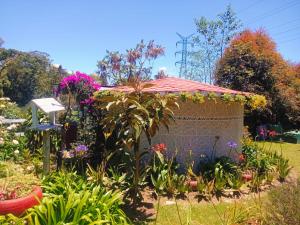 圣埃伦娜Hospedaje Santaelena -chalets de montaña-的花卉花园中的纪念碑