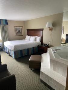 布兰森The Boardwalk Inn的酒店客房配有一张床和浴缸。