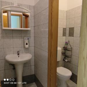 托尔明PRENOČIŠČE 9a的一间带水槽、卫生间和镜子的浴室