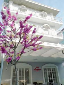 里米尼B&B Villa Madana的一座建筑物前有紫色花的树