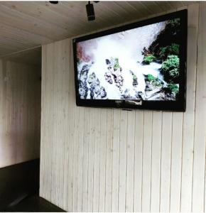 卡缅涅茨-波多利斯基Садиба Герасімових的挂在墙上的平面电视