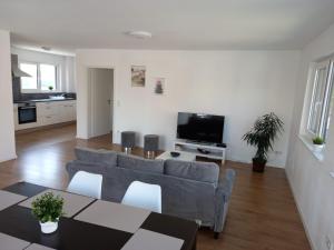 菲尔特Neubau Appartement mit Terasse, privater Eingang,Parkplatz,Küche的带沙发和电视的客厅