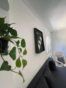 卢戈Casa Lameiro的客厅配有沙发和墙上的植物