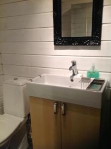 韦姆达伦Mysig liten stuga i Vemdalen的一间带水槽、卫生间和镜子的浴室