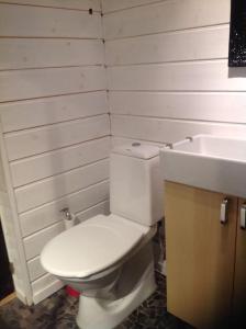 韦姆达伦Mysig liten stuga i Vemdalen的浴室配有白色卫生间和盥洗盆。