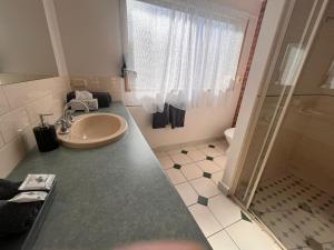 吉朗玫瑰园汽车旅馆的一间带水槽和淋浴的浴室