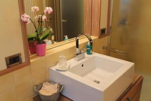 阿夏戈拉切雷萨拉住宿加早餐旅馆的浴室设有白色水槽和镜子